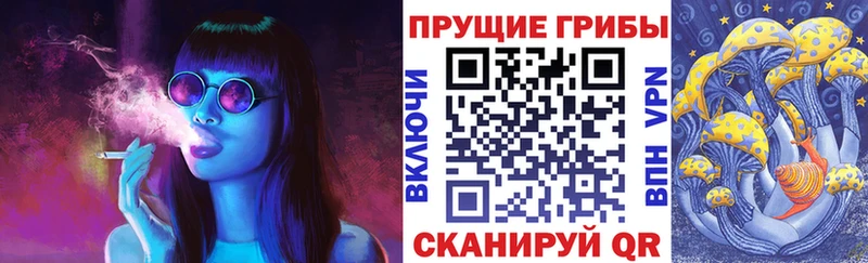 площадка формула  Якутск  Галлюциногенные грибы MAGIC MUSHROOMS 