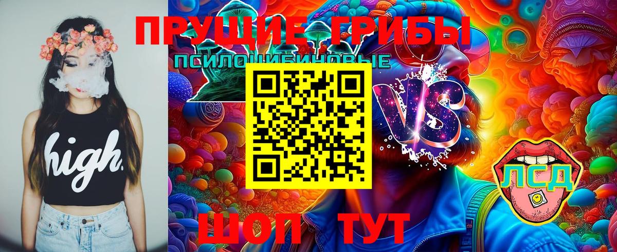 Галлюциногенные грибы GOLDEN TEACHER Якутск