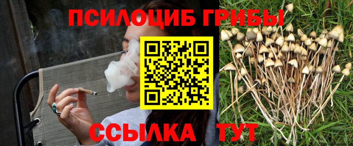 Псилоцибиновые грибы ЛСД  Вход с VPN  Якутск  Галлюциногенные грибы прущие грибы 